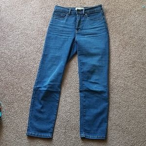 Everlane Cigarette Stretch Jeans